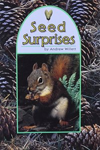 Comprehension Power Readers Seed Surprises Grade 3 Single 2004c