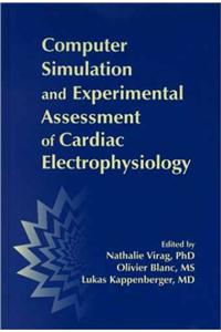 Computer Simulation and Experimental Assessment of Cardiac Electrophysiology