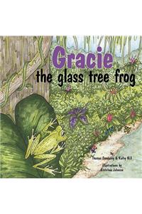 Gracie, the glass tree frog