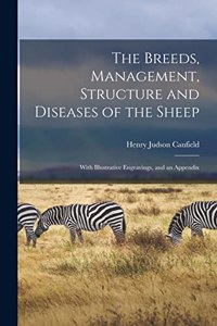Breeds, Management, Structure and Diseases of the Sheep