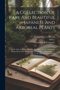 Collection Of Rare And Beautiful Japanese And Arboreal Plants