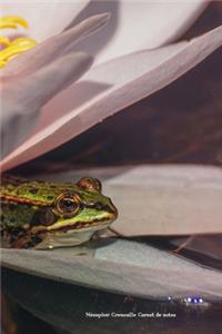Nénuphar Grenouille Carnet de notes