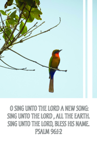 Sing Unto the Lord Bulletin (Pkg 100) General Worship