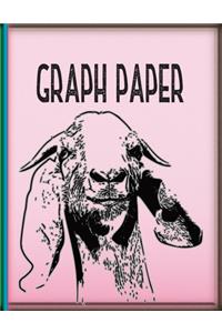 Graph Paper