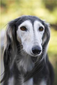 Saluki Blank Lined Journal Notebook