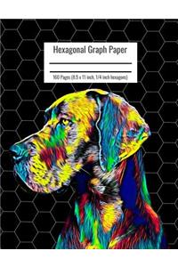 Hexagonal Graph Paper