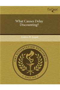 What Causes Delay Discounting?