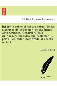 Informe sobre el estado actual de los distritos de reduccion de indéjenas Alto Orinoco, Central y Bajo Orinoco, y medidas que reclaman ... por el visitador nombrado al efecto A. E. L.