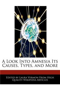 A Look Into Amnesia Its Causes, Types, and More
