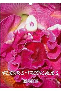 Fleurs Tropicales / Organiseur 2018