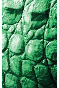 Alive! crocodile skin - Emerald duotone - Photo art notebooks (5 x 8 series)