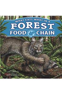 What Eats What in a Forest Food Chain