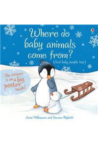 Where do baby animals come from?