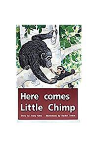 Here Comes Little Chimp