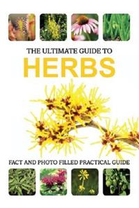 Ultimate Guide