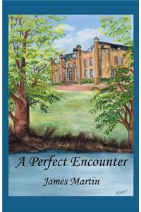 Perfect Encounter