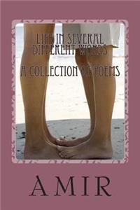 Life in Several Different Words