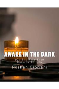 Awake In The Dark