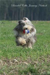 Bearded Collie January Notebook Bearded Collie Record, Log, Diary, Special Memories, To Do List, Academic Notepad, Scrapbook & More