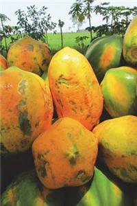 The Papaya Journal