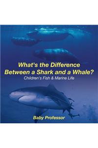 What's the Difference Between a Shark and a Whale? Children's Fish & Marine Life