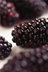 Food Journal Juicy Fresh Blackberries Weight Loss Diet Blank Recipe Book