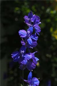 Blue Delphinium Larkspur Flower Journal