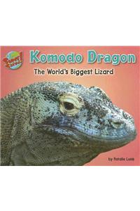 Komodo Dragon