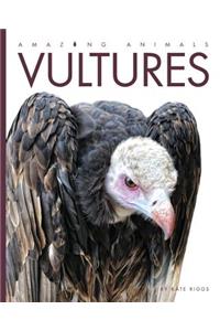 Amazing Animals Vultures