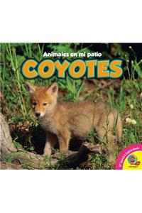 Coyotes, With Code