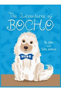 The Adventures of Bocho