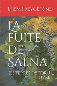 La fuite de Saena
