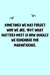 Sometimes we may forget who we are. But what matters most is how quickly we remember our magnificence. Journal