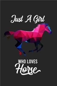 Just a Girl who loves Horse