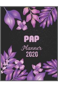 PAP Planner 2020: Daily Weekly Planner with Monthly quick-view/over view with 2020 calendar