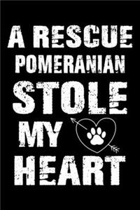A Rescue Pomeranian Stole My Heart