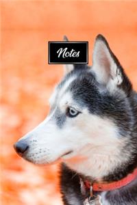 Siberian Husky Huskies Dog Pup Puppy Doggie Notebook Bullet Journal Diary Composition Book Notepad - In Deciduous Woods