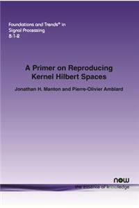 Primer on Reproducing Kernel Hilbert Spaces