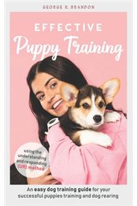 Effective Puppy Training