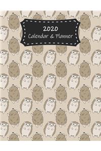 2020 Calendar & Planner