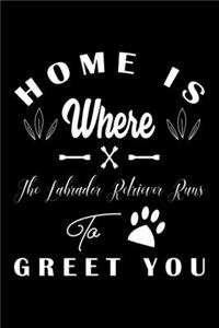 Home is where the Labrador Retriever to Greet you