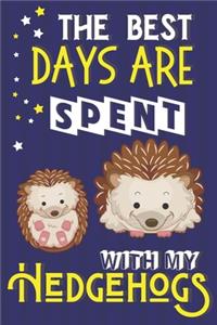 The Best Days Are Spent With My Hedgehogs