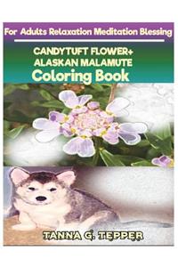CANDYTUFT FLOWER+ALASKAN MALAMUTE Coloring book for Adults Relaxation Meditati