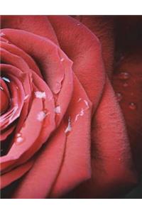 Rose Notebook large Size 8.5 x 11 Ruled 150 Pages