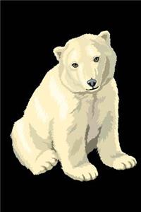 Polar Bear Sketchbook