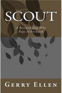 Scout