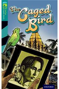 Oxford Reading Tree TreeTops Graphic Novels: Level 16: The Caged Bird