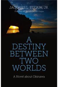 Destiny Between Two Worlds, A - A Novel about Okinawa