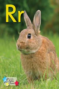 Alpha Stars Rr 6-Pack