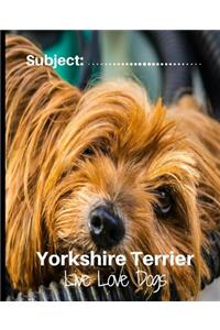 Yorkshire Terrier - Live Love Dogs!